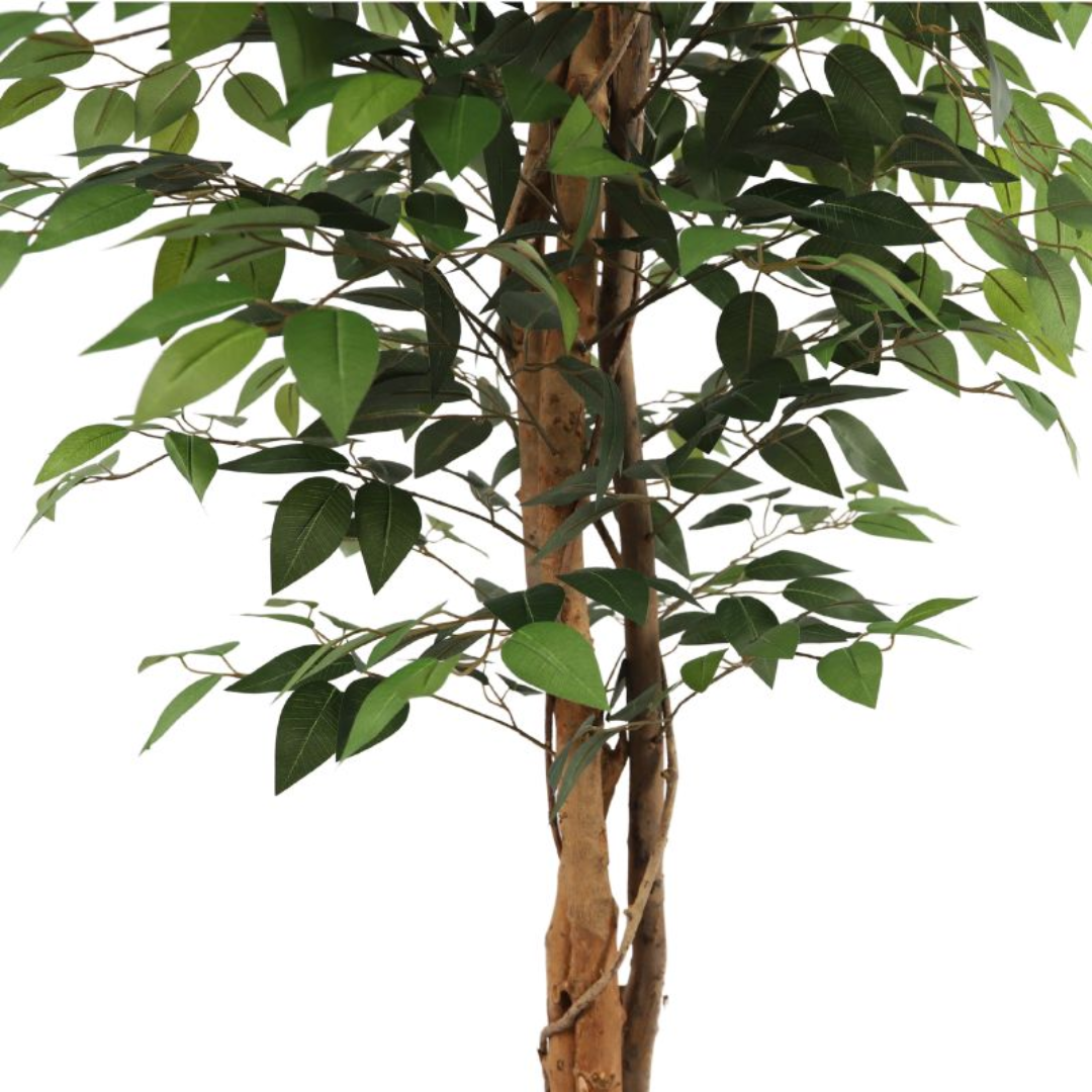 Műfa fikusz - 160 cm