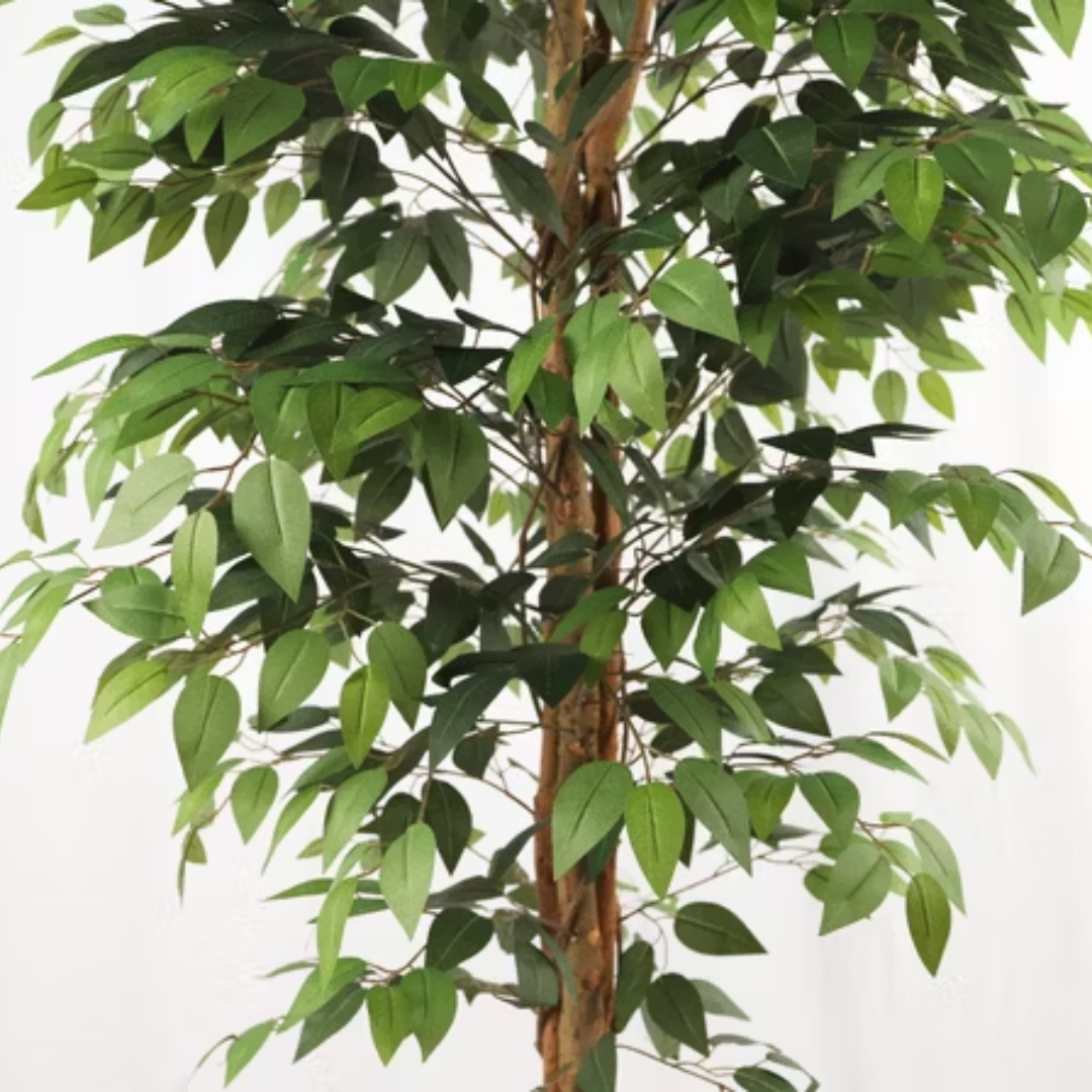 Műfa fikusz - 160 cm